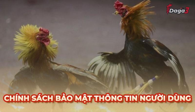 Chính sách bảo mật thông tin người dùng tại www.eastdunbartonshireradio.media