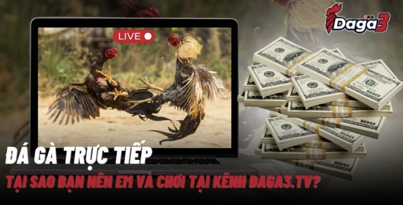 Giới thiệu về kênh đá gà trực tiếp thomo www.eastdunbartonshireradio.media