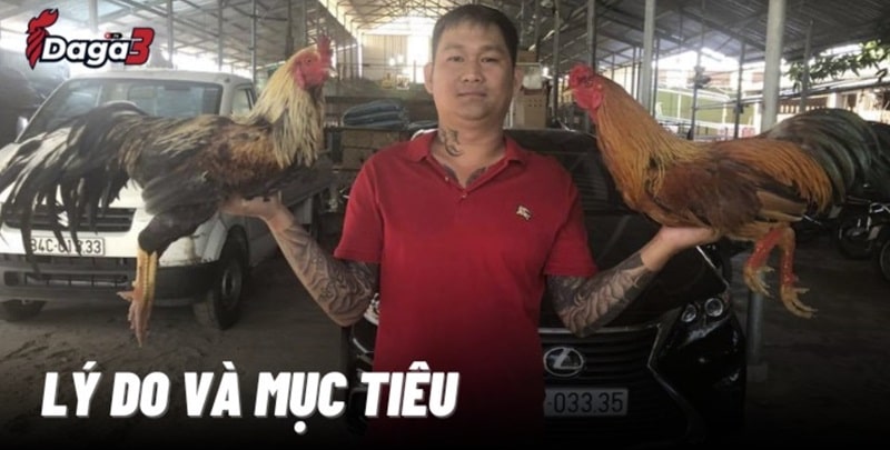 Mít Trà Cú sáng lập trang đá gà trực tiếp www.eastdunbartonshireradio.media